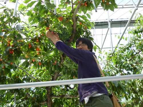 社内イベント06